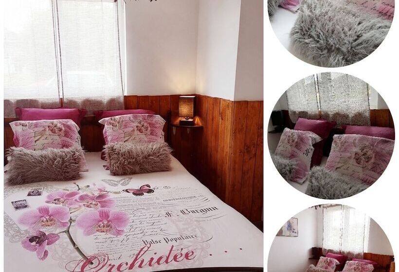 آپارتمان 1 خوابه با چشم‌انداز باغ, Le Clos Des Mylandes