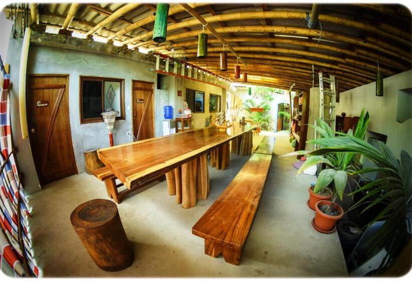 Номер Стандарт, Hostal Oloncito