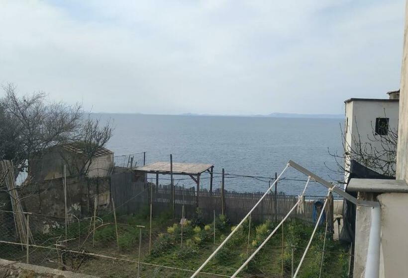 Четырехместный Номер Стандарт Вид на Море, Relax