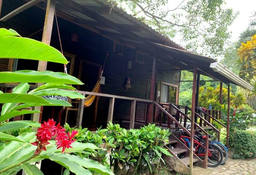 스탠다드 룸, Cabinas Nirvana Ecolodge