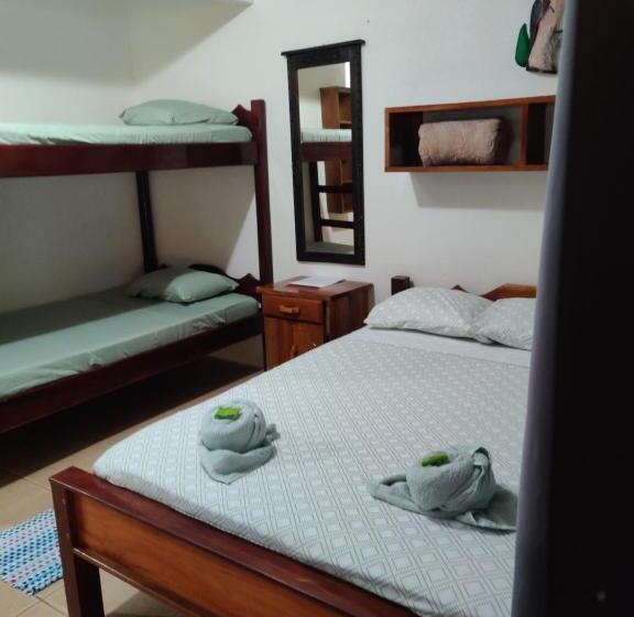 Номер Стандарт с Койками, Cabinas Pura Vida B&b Tour Operator