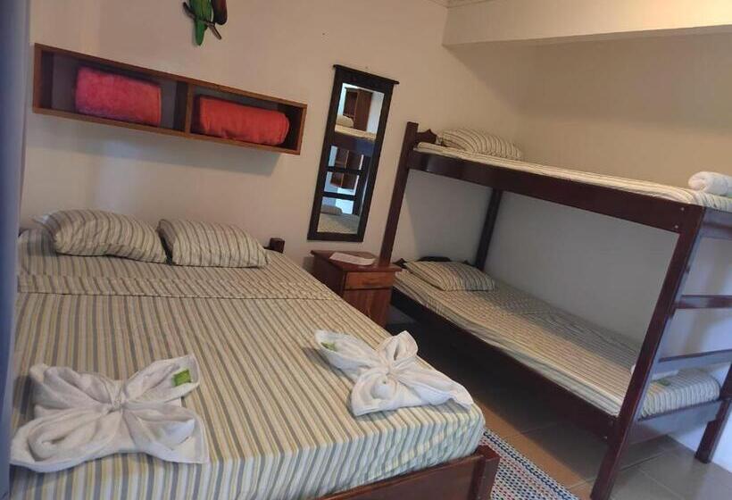 Номер Стандарт с Койками, Cabinas Pura Vida B&b Tour Operator