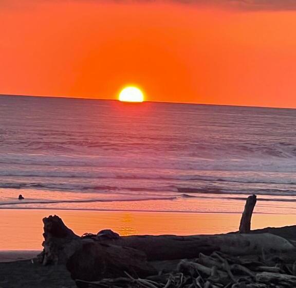 إستوديو قياسى, Ola Bonita Beachfront Apart