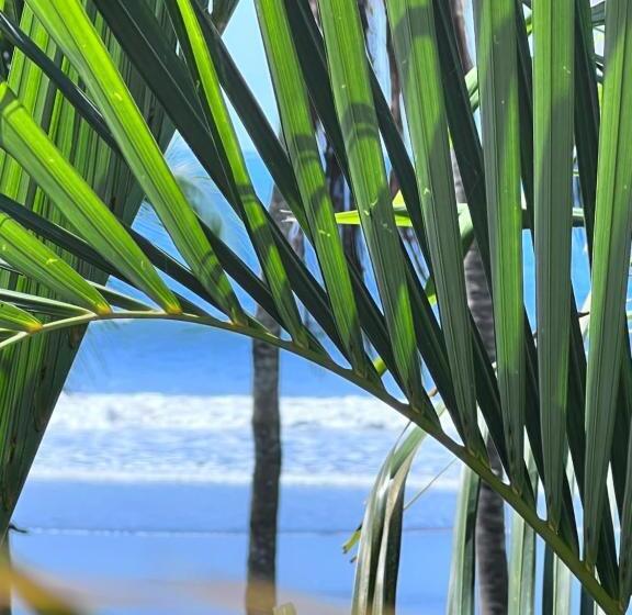 标准工作室, Ola Bonita Beachfront Apart