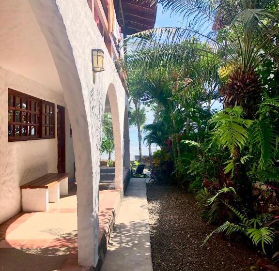 إستوديو قياسى, Ola Bonita Beachfront Apart