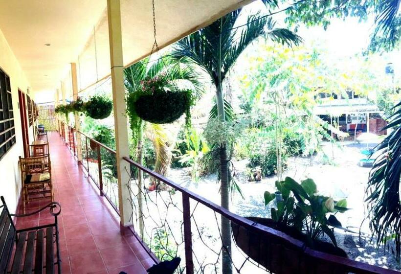Номер Стандарт, Tropical Sands Dominical