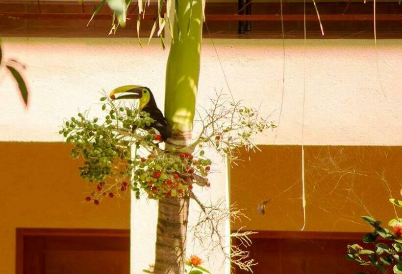 Номер Стандарт, Tropical Sands Dominical