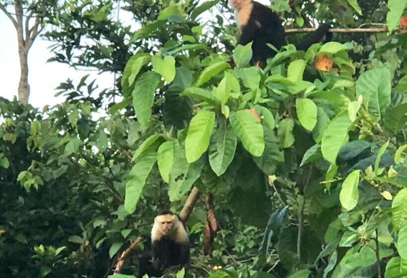 Дом 2 Спальни, Tropical Sands Dominical
