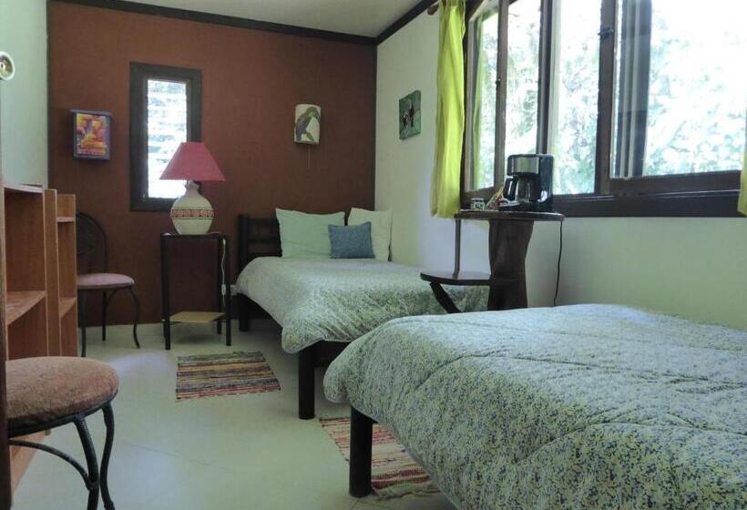 스탠다드 룸, Lucky Bug Bed And Breakfast