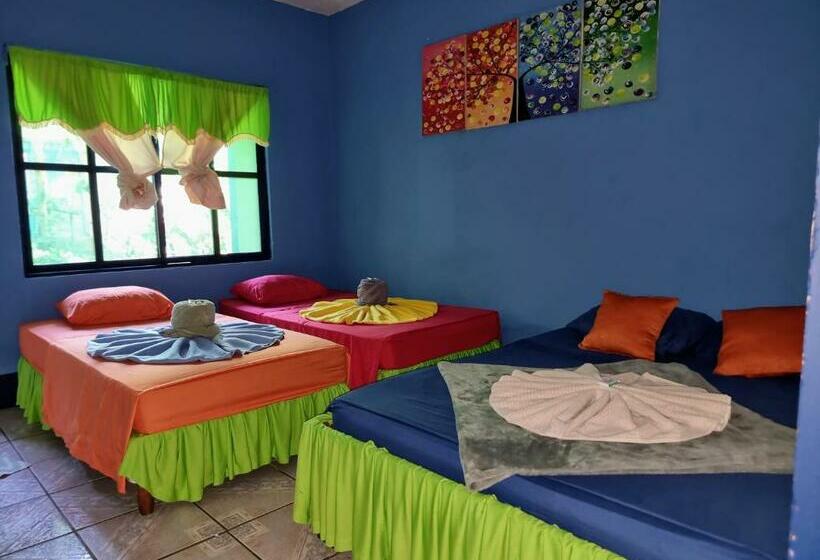 Четырехместный Номер Стандарт, Cabinas Tortuguero Natural