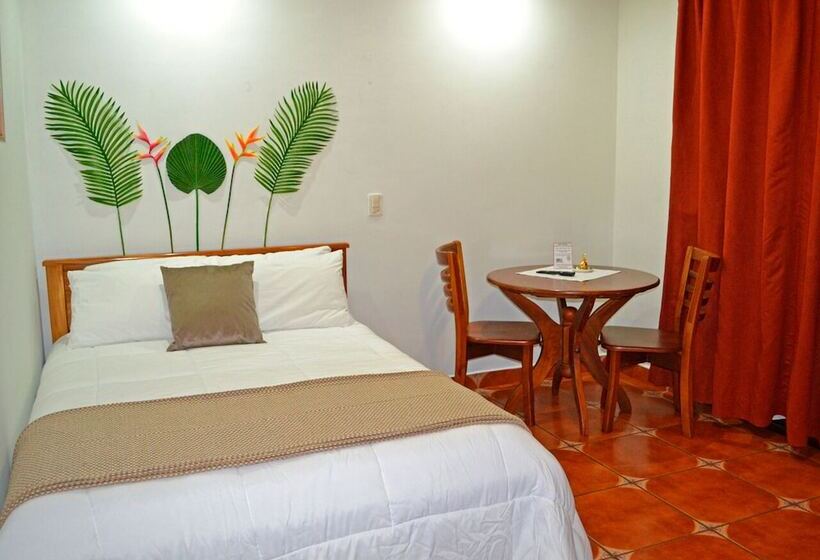 带园景的单人房, Casa Tropical