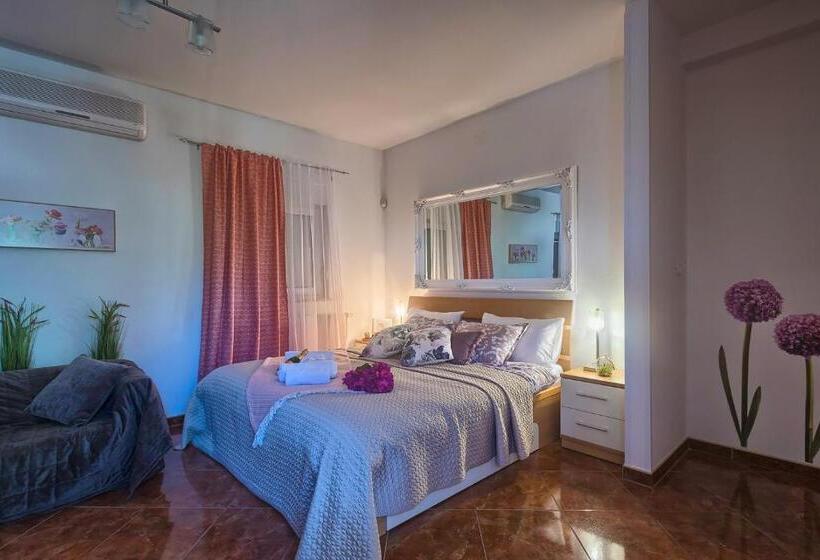 Студия Superior, Villa Mihaela