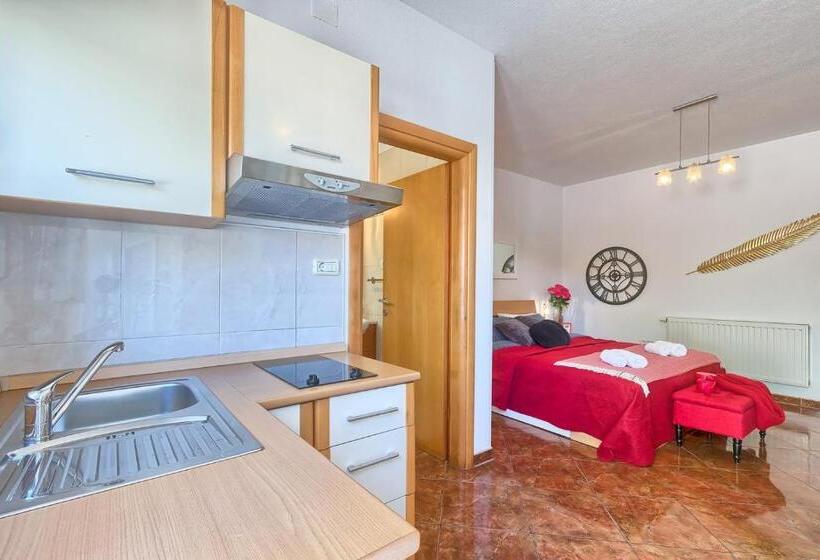 Студия Стандарт, Villa Mihaela