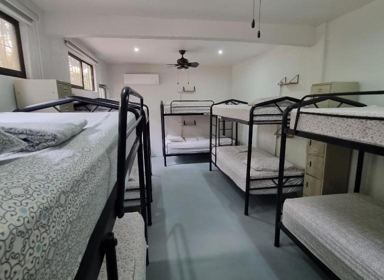 تختخواب در اتاق مشترک, Casa Pura Vida Surf Hostel   Tamarindo Costa Rica