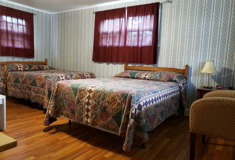 Номер Стандарт 2 Двуспальные Кровати, Regent Motel