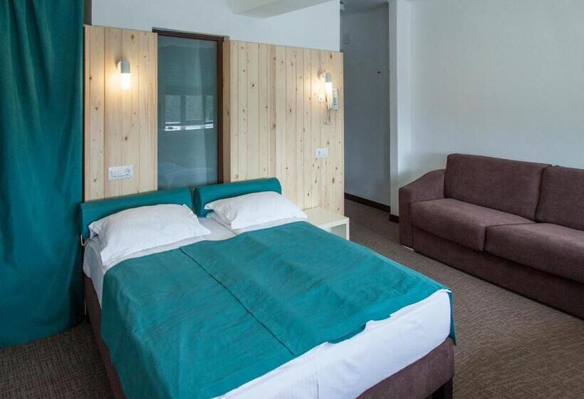 스탠다드 룸, Complex Hotelier Cota O Mie
