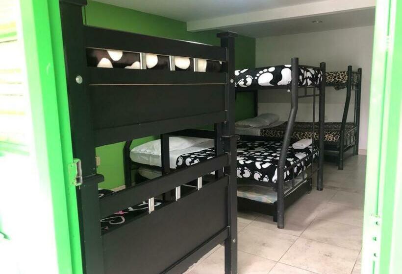 Habitación Familiar Superior, Hostal Y Camping Los Girasoles