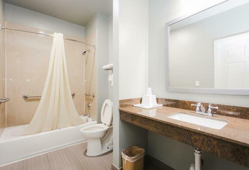 חדר סטנדרט, Econo Lodge Inn & Suites