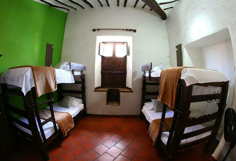 공동 객실, Real Dream Hostel