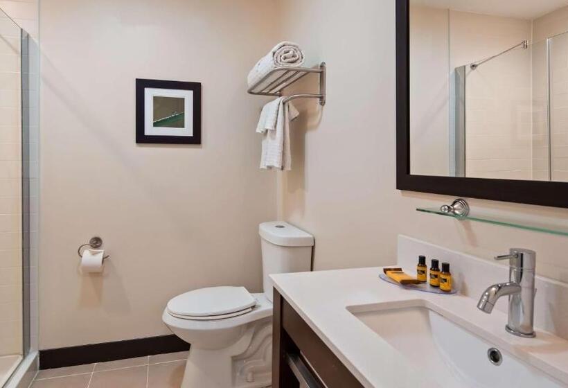 غرفة قياسية سرير كينج لذوى الإحتياجات الخاصة, Best Western Plus Philadelphia Convention Center