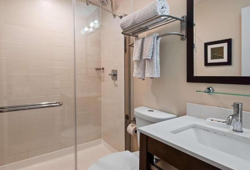 غرفة ديلوكس سرير كينج, Best Western Plus Philadelphia Convention Center