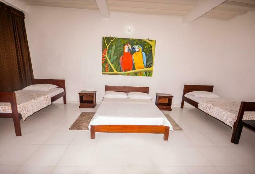 اتاق استاندارد سه نفره, Tucuma Casa