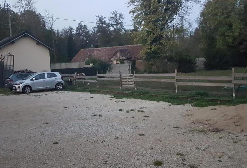 Студия Стандарт, Le Betrot