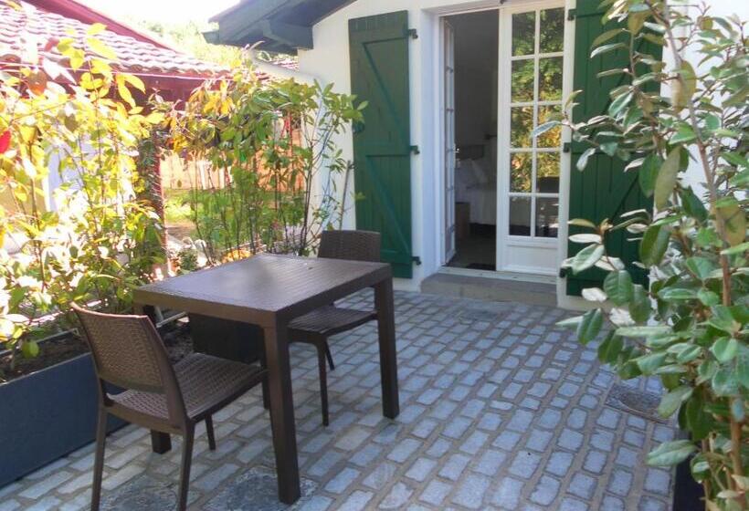 Номер Стандарт, Residence Alaïa