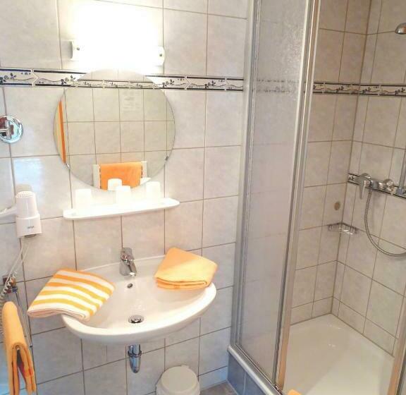 Номер Стандарт Индивидуальный, Dormero Moselhotel Koblenz Alken