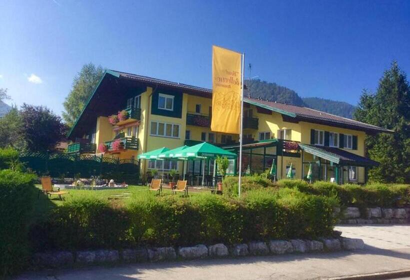 Номер Стандарт Вид на Горы, Restaurant Bellevue