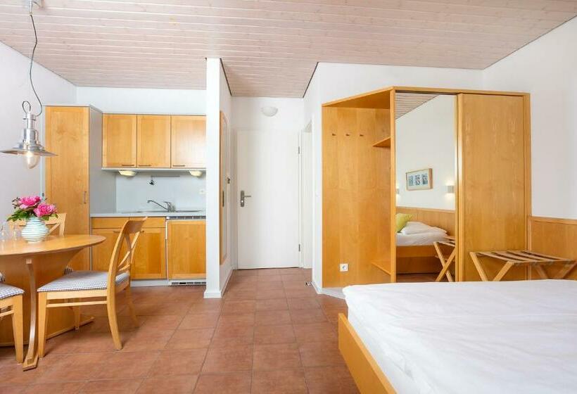 Номер Стандарт с Террасой, H.w.s. Hotel Der Wilde Schwan