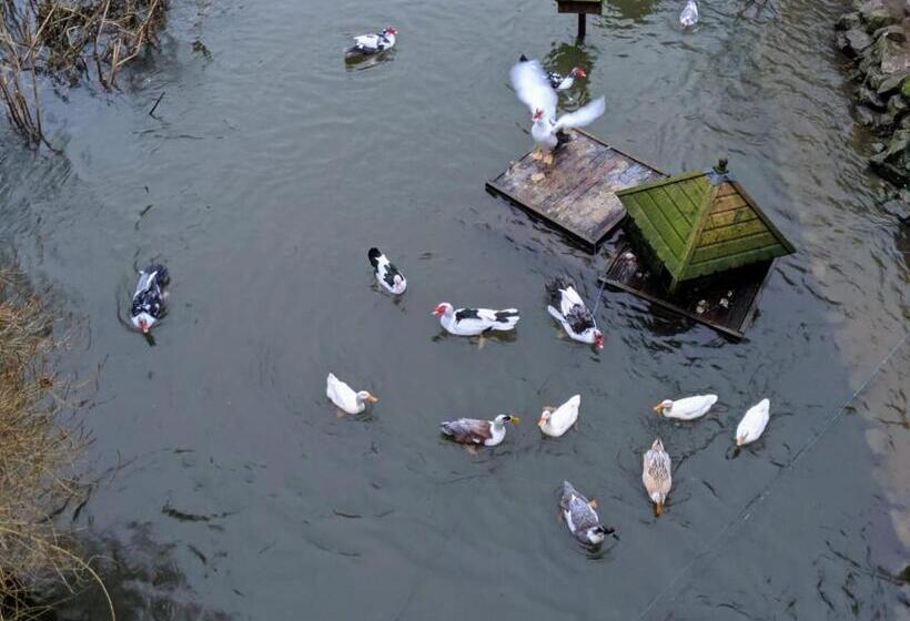 اتاق استاندارد با تخت بزرگ, B&b At The Old Mill