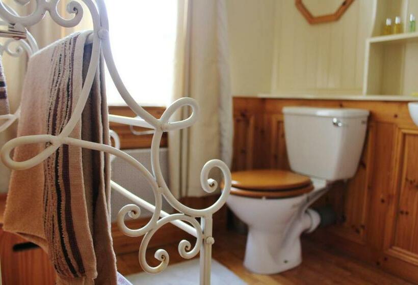 Номер Deluxe, Dulrush Fishing Lodge And Guest House