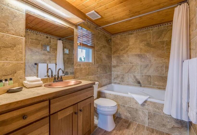 Студия Стандарт, Chipeta Lodge