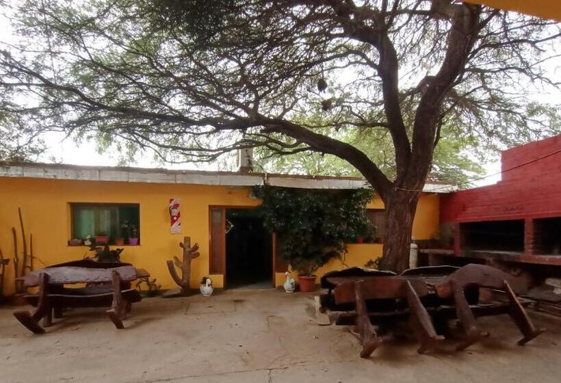 خانه 2 خوابه, Hostal Benjamin