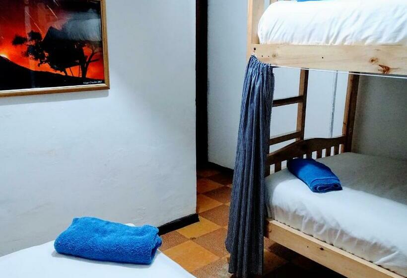 共用房间的床, Erupcion Art Hotel & Hostel
