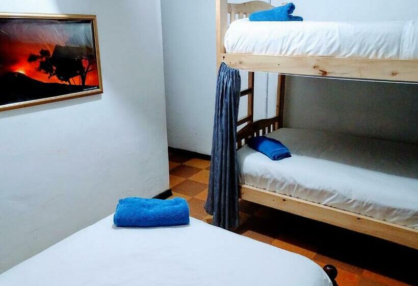 Кровать в Общей Комнате, Erupcion Art Hotel & Hostel