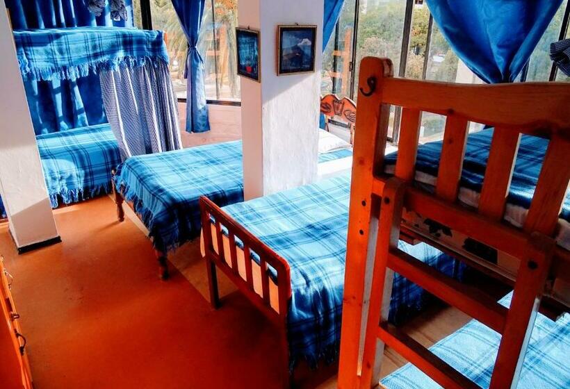共用房间的床, Erupcion Art Hotel & Hostel