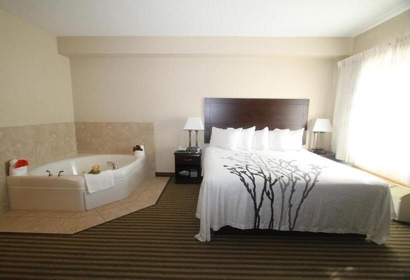 带大床的标准间, Bowman Inn And Suites