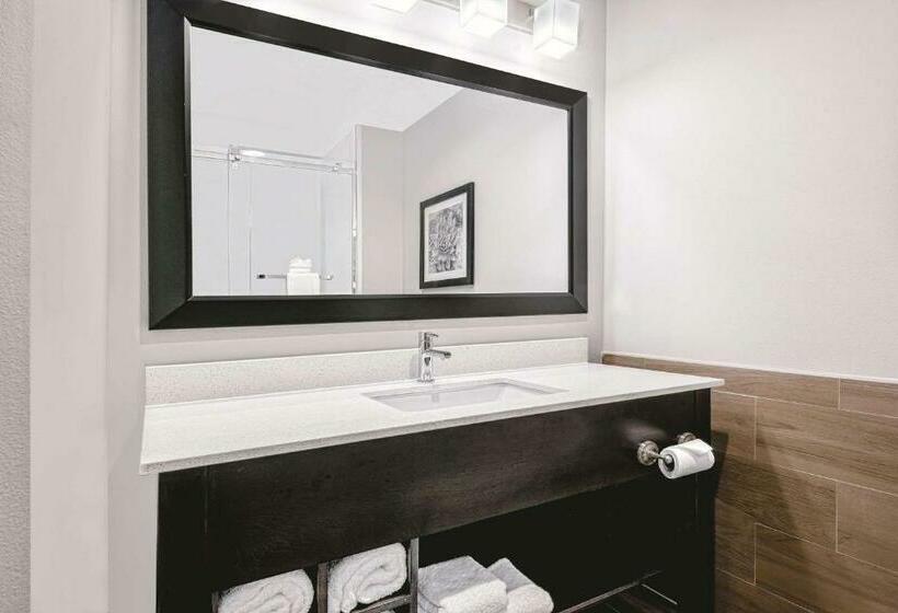 Номер Deluxe Кровать Кинг, La Quinta By Wyndham Mcallen Convention Center