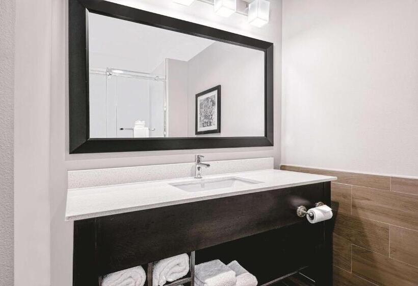 Студио Стандарт Кровать Кинг, La Quinta By Wyndham Mcallen Convention Center
