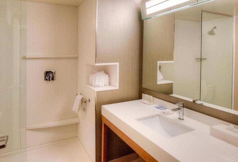 Номер Стандарт Кровать Кинг Адаптированный для Инвалидов, Courtyard By Marriott St Louis Chesterfield