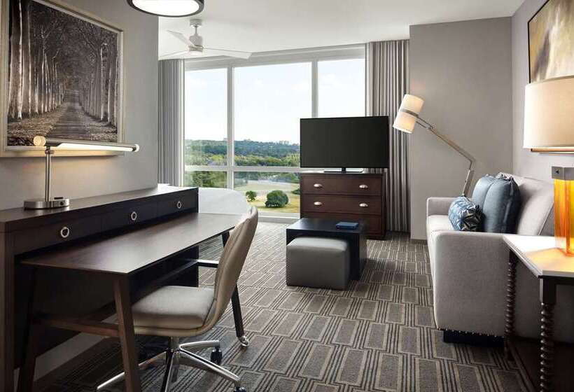 스탠다드 룸 킹사이즈 침대, Embassy Suites By Hilton New York Manhattan Times Square