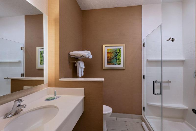 Люкс Кровать Кинг, Fairfield Inn & Suites By Marriott Lincoln Airport
