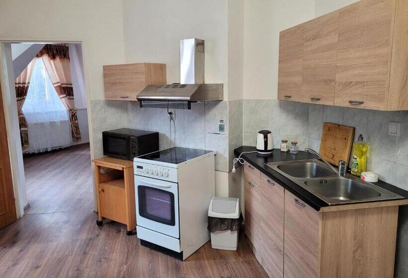 带1个卧室的公寓, Studentská Apartments
