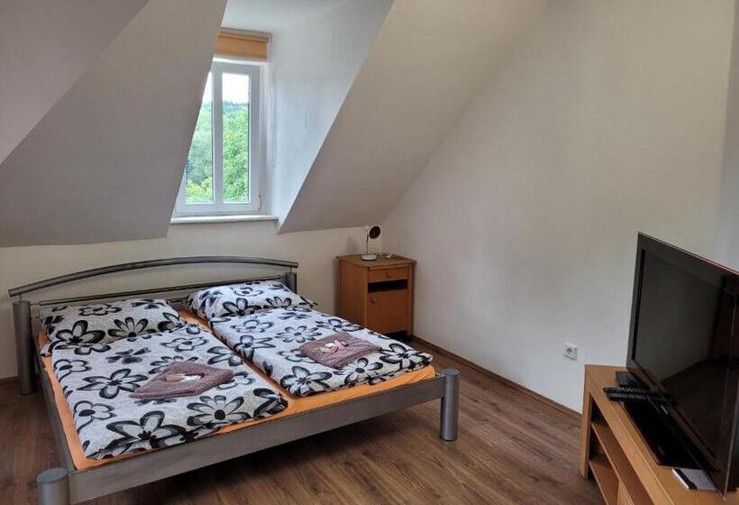 带1个卧室的公寓, Studentská Apartments