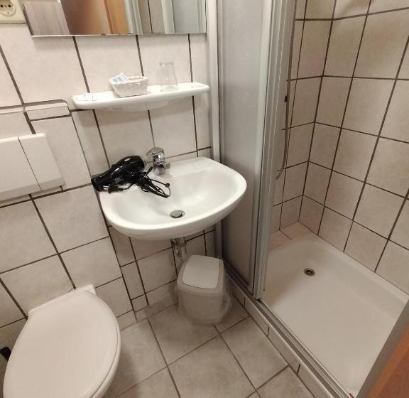 Номер Стандарт Индивидуальный, Gasthof Zu Den Linden 61225