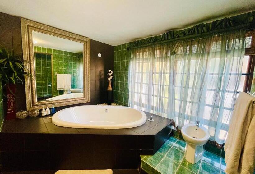 Президентский Люкс, Pretoria Mansion Coral Tree Inn