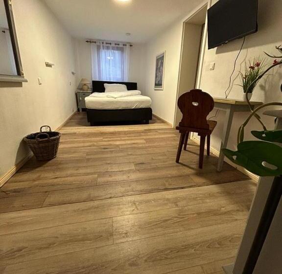 スタンダードシングルルーム, Haus Zum Guten Hirten