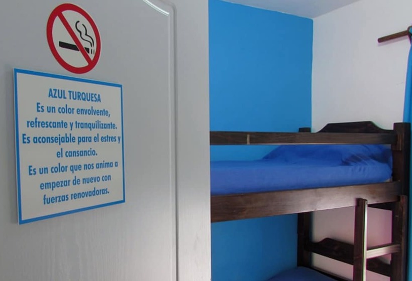 سرير فى غرفة مشتركه, Hostel De Los Colores